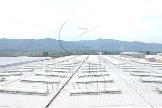 麥克威排煙通風天窗 麥克威排煙通風天窗