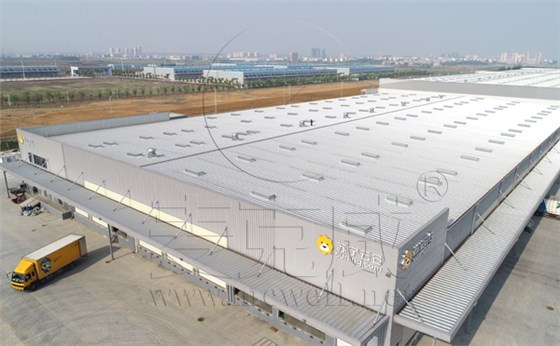 蘇寧云倉一字型天窗 蘇寧云倉一字型天窗