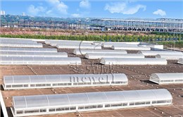 C3CT圓拱型電動采光排煙天窗(側(cè)開式) C3CT圓拱型電動采光排煙天窗(側(cè)開式)