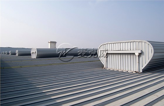 20161129164705_3646 20161129164705_3646