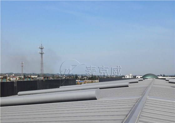 濰柴異改 濰柴異改