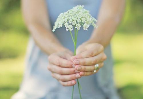 麥克威企業(yè)文化 麥克威企業(yè)文化