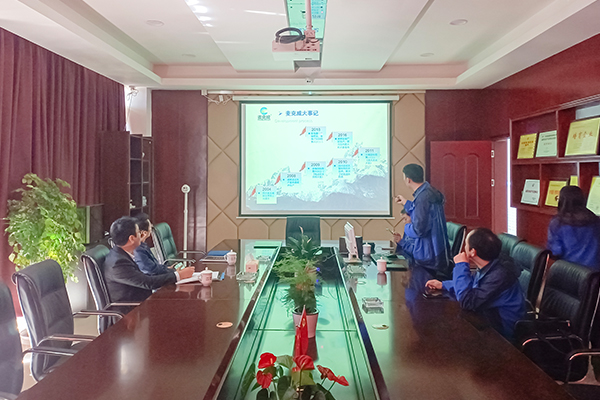 恒大新能源汽車(chē)參觀麥克威