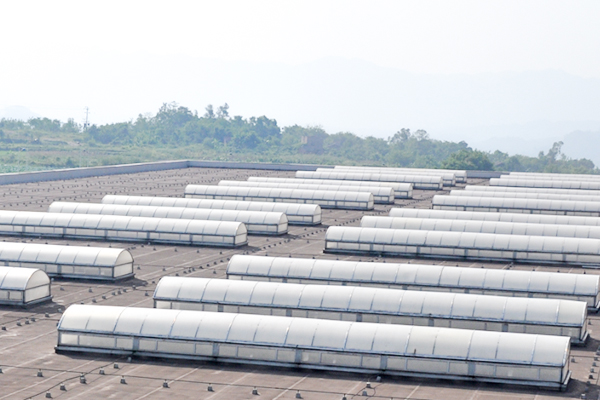 麥克威圓拱型排煙采光天窗 麥克威圓拱型排煙采光天窗