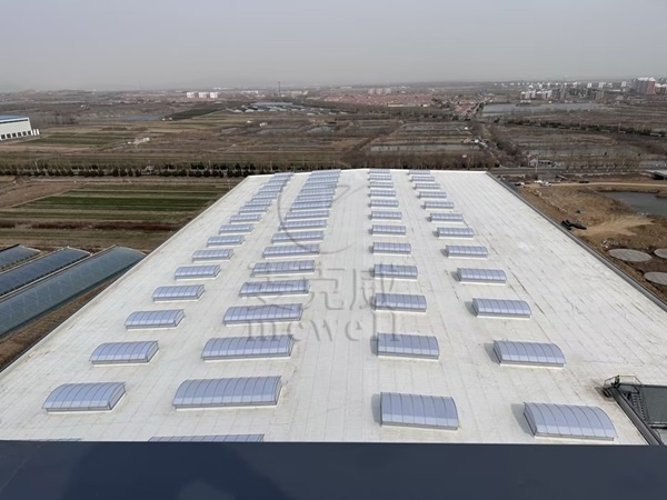 山東圓拱型采光排煙天窗 山東圓拱型采光排煙天窗